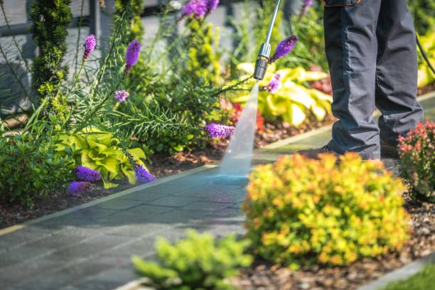 Best Fence Cleaning  in Holdrege, NE